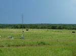 21561P1010385.JPG