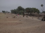 26785Vounaloum Cameroon 020.jpg