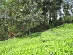 32168IMG_0761.JPG