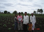 126450177b-rainfed-agriculutre-cotton.gif