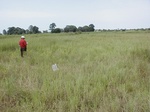 12224GT048_grass_valley_bottom.JPG