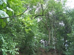 1694810052008(16).JPG