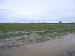 21399RIMG0125.JPG