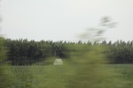 2024-08-05_15-58-03_4E8C3B8E-0974-42A8-A3A0-E5B1A198E67B.jpeg