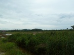 55109Berau (425).JPG