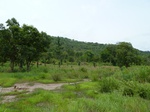 18460P1000296.JPG