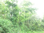 48091CIMG4428.JPG