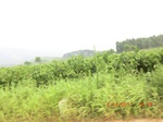 33028CIMG2220.JPG