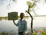 11349gt136-wetland-cropland-1.jpg