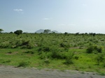 19300P1010146.JPG