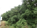 34853CIMG1524.JPG