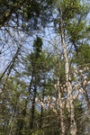 324IMG_3433.JPG