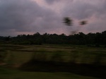 549711052008(91).JPG