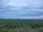 55930CIMG6654.JPG