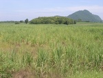 33551RIMG0216.JPG