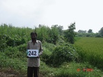 128630242c-irrigated-supplemental-groundwater-mixedcrop-sugarcane-dominant-rice-doublecrop.gif