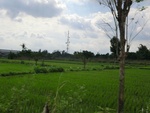 31209CIMG1071.JPG