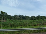 20109P1010960.JPG