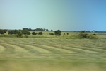 2024-06-17_21-44-35_2EBA2202-830D-453E-B264-16F77727D7F1.jpeg