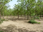 19114P1000959.JPG
