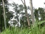 48076CIMG4413.JPG