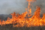 43324IMG_0926.jpg