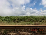 36362CIMG3570.JPG
