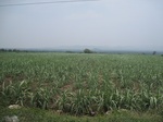 28285IMG_5058.JPG