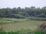 867R0015393_tag.jpg