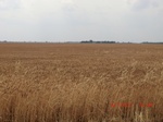 29459CIMG0748.JPG