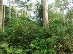 45923CIMG0212.JPG