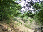 1781324042008(71).JPG