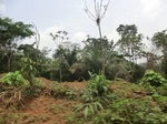 48989CIMG5326.JPG