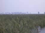 639R0015147.jpg