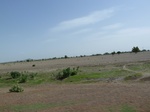 19251P1010097.JPG