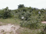 12132GT133_wasteland.JPG