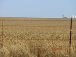 29865CIMG1358.JPG