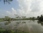 24600DSC00818.JPG