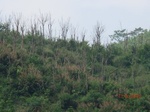 53754CIMG7154.JPG