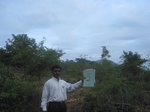 7698gt005b-shrubland-short.jpg
