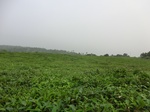 45824CIMG2909.JPG