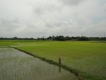 22008DSC00121.JPG