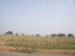 9079RIMG0159.JPG