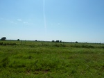21651P1010477.JPG