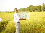 6634gt100-cropland-1.jpg