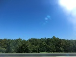 56506CIMG1550.JPG