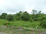 55070Berau (39).JPG
