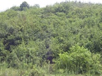 738R0015246.jpg