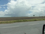 24725DSC00890.JPG