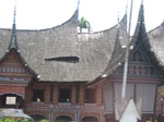 14926IMG_5320.JPG